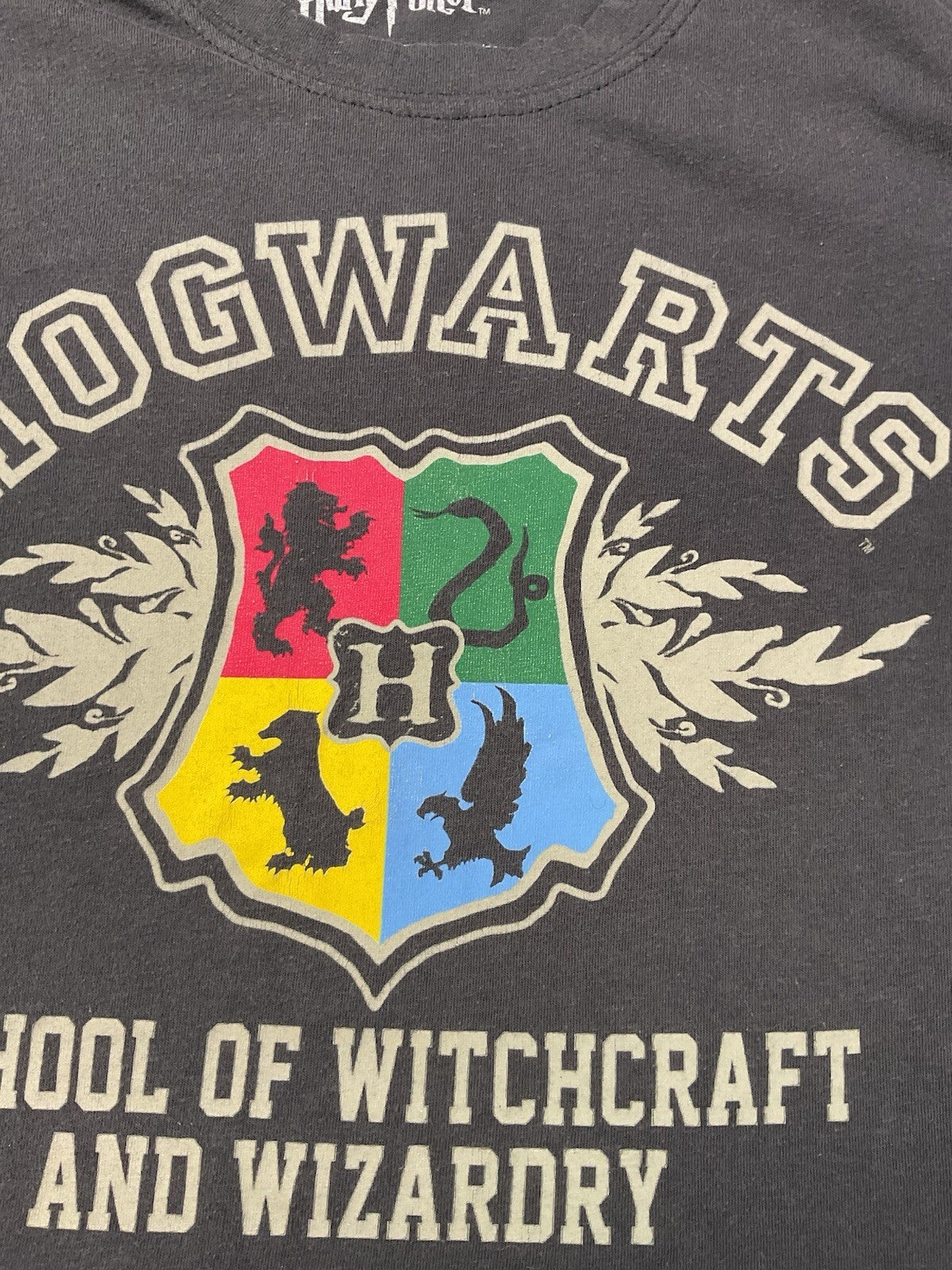 Girls Harry Potter Hogwarts School of Witchcraft & Wizardry Graphic T-Shirt